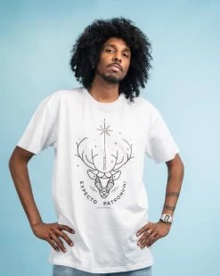 Harry Potter Expecto Patronum Alt T-Shirt -T-Shirt Shop Expecto5
